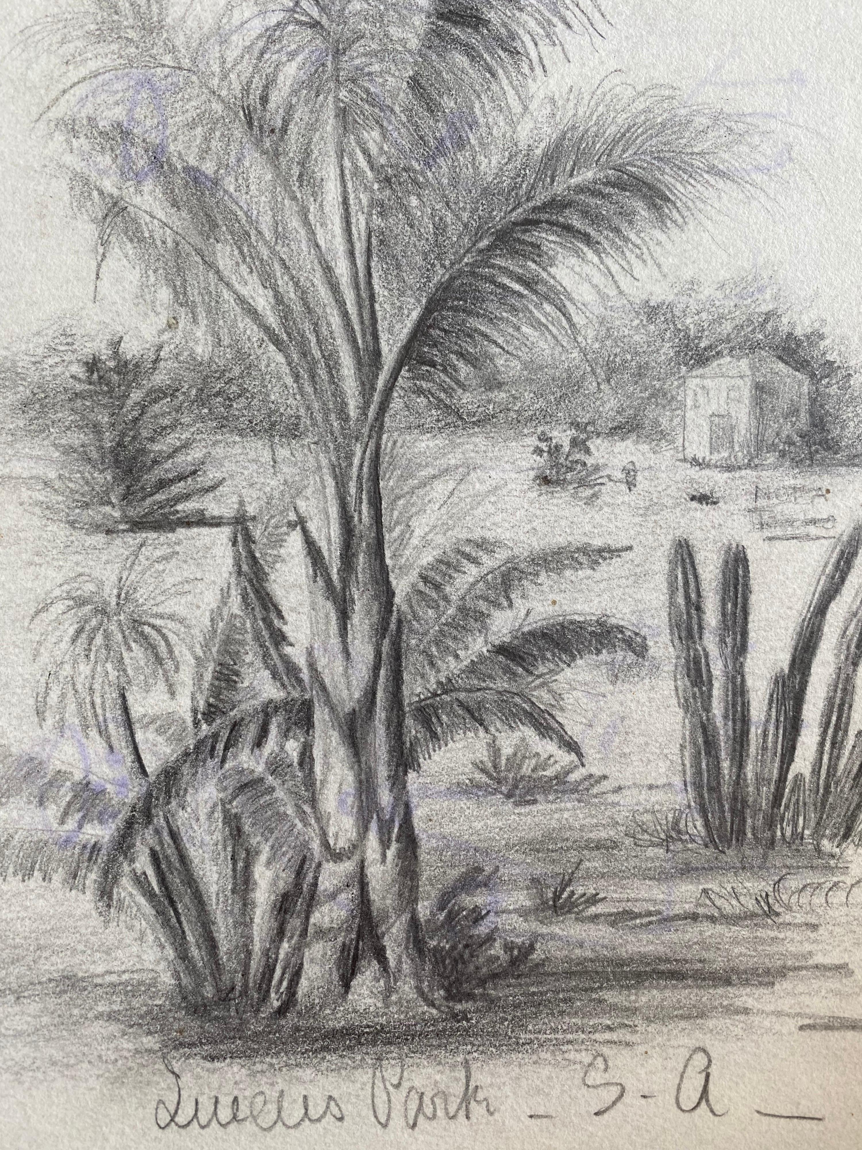 Antikes britisches Botanisches Aquarellgemälde, um 1900 – Painting von Unknown