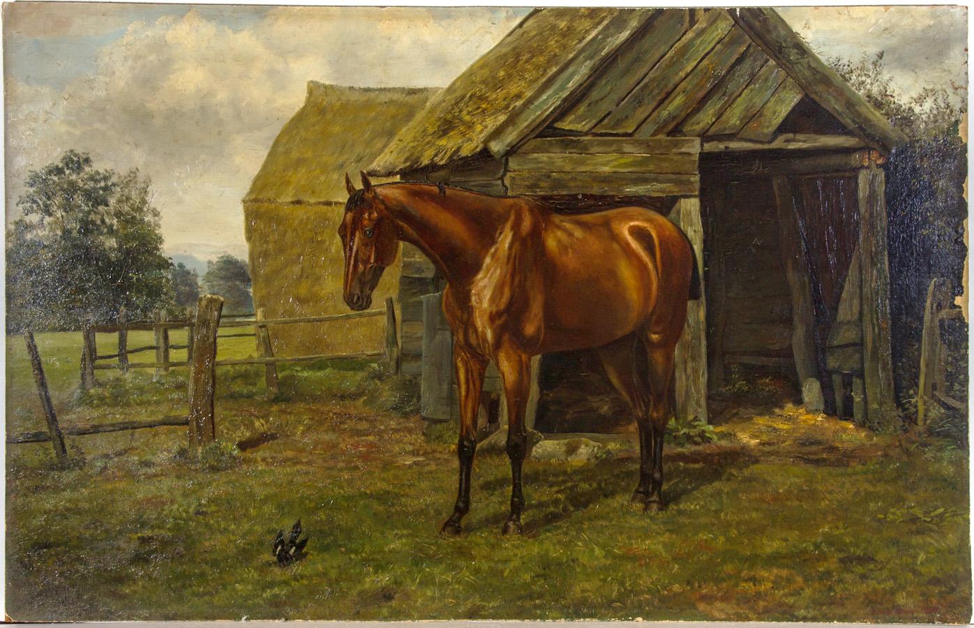 Fine Early 20th Century Oil - Irish Sport Horse in Paddock - Painting by Unknown