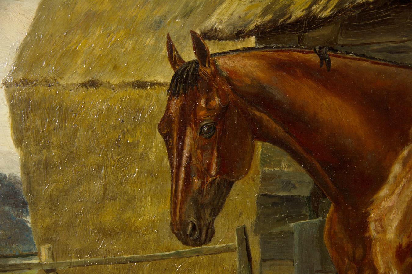 irish sport horse paint
