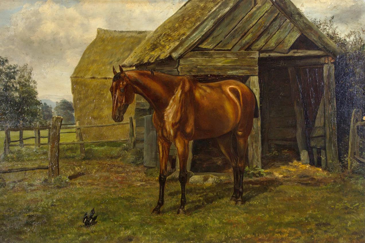 Unknown Animal Painting - Fine Early 20th Century Oil - Irish Sport Horse in Paddock