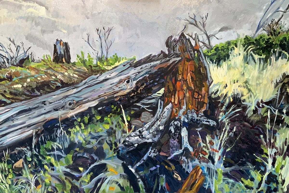 Albero caduto dal fuoco, Punch Bowl, Olio su tela di Daniel Duford, 2024