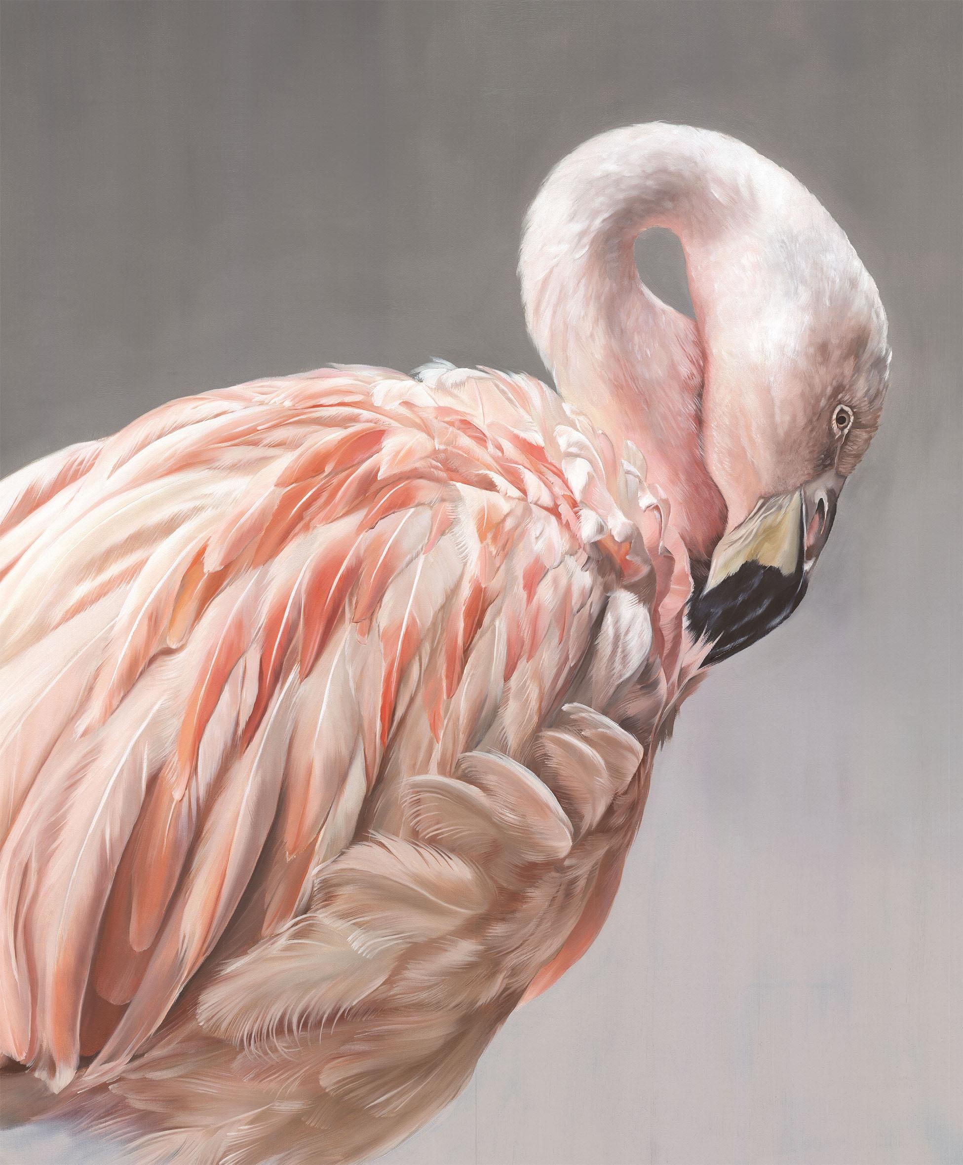Flamingo by Martina Heigl - Painting by Unknown