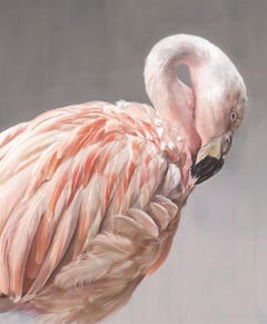Flamingo by Martina Heigl