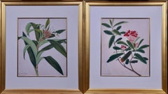 Peintures de plantes encadrées : Paire d'aquarelles botaniques originales encadrées