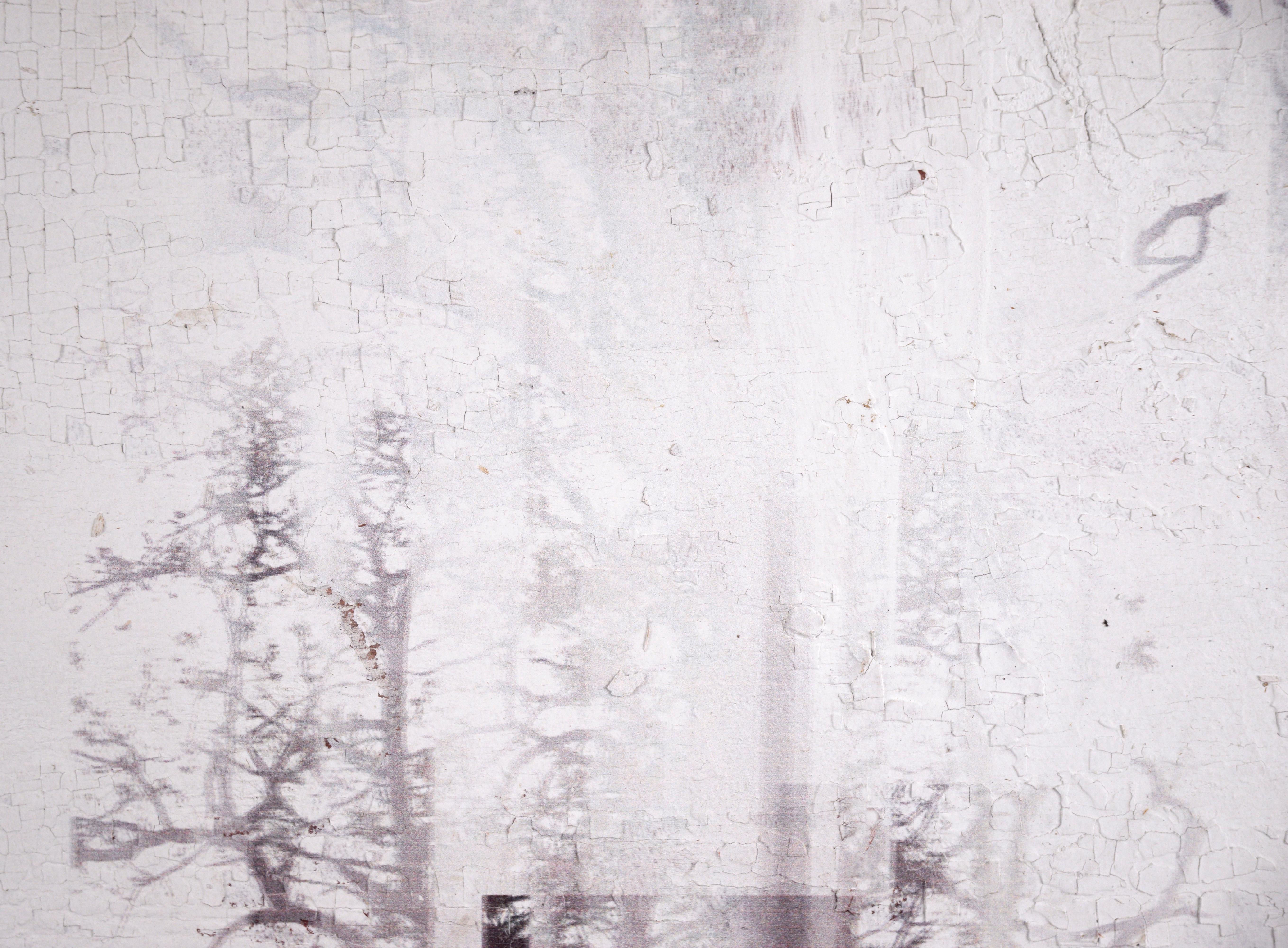 Foggy Winter Forest abstract - Contemporary Painting by Unknown