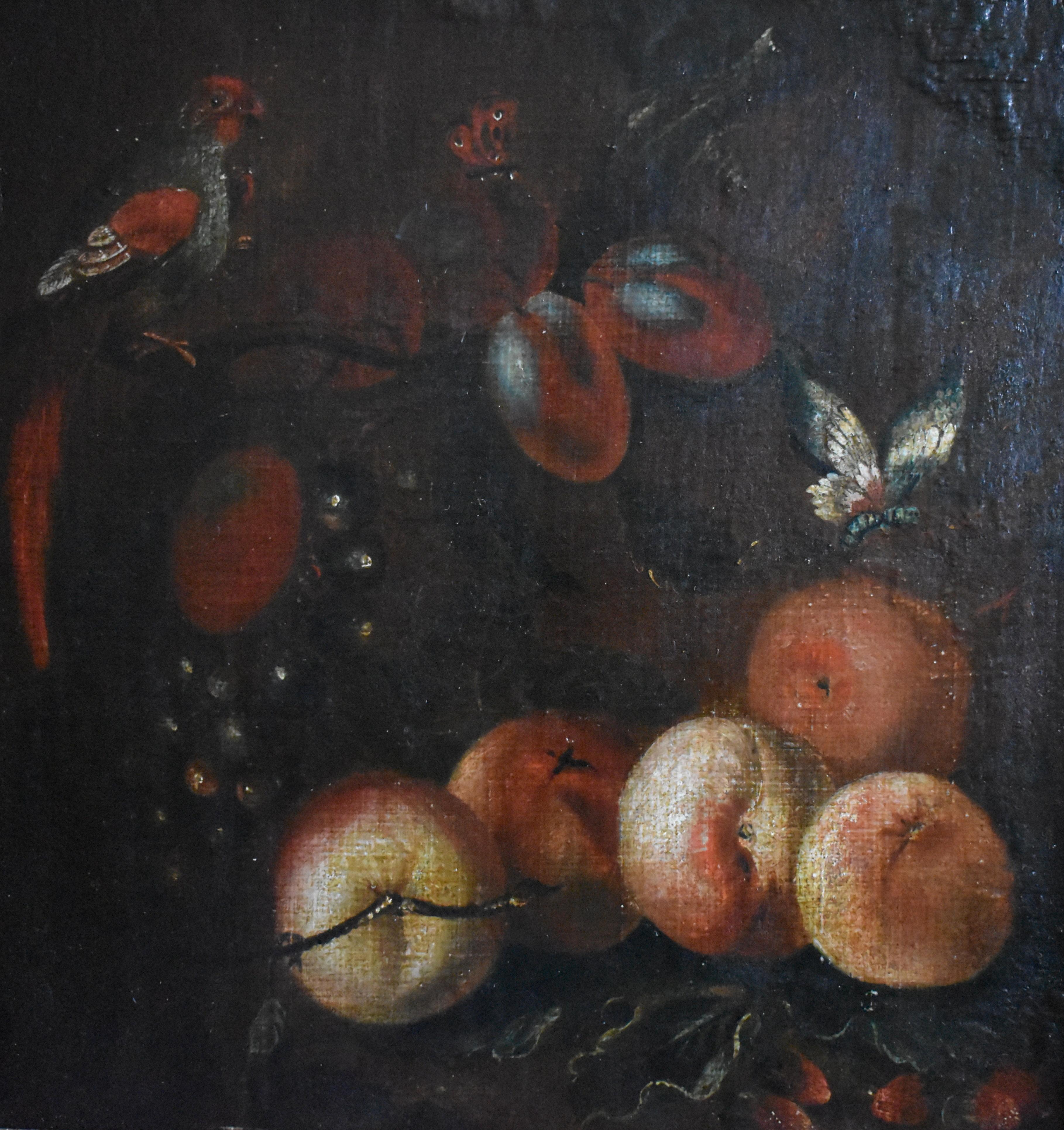 Unknown Still-Life Painting - Follower of Adriaen Coorte (1665-1707) 18th Century Still Life c1795 Dutch 