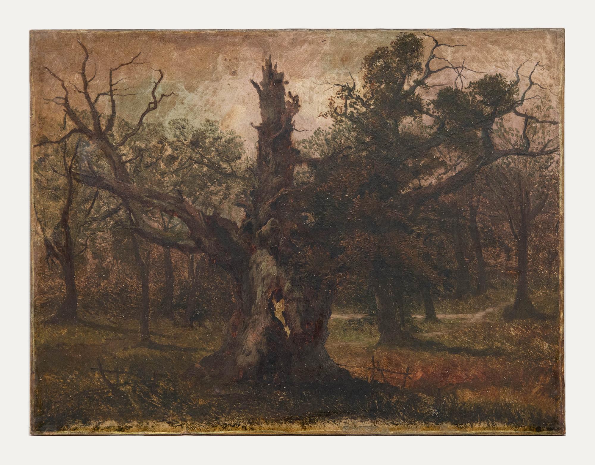 For Restoration 19th Century Oil - The Dead Old Oak - Painting by Unknown