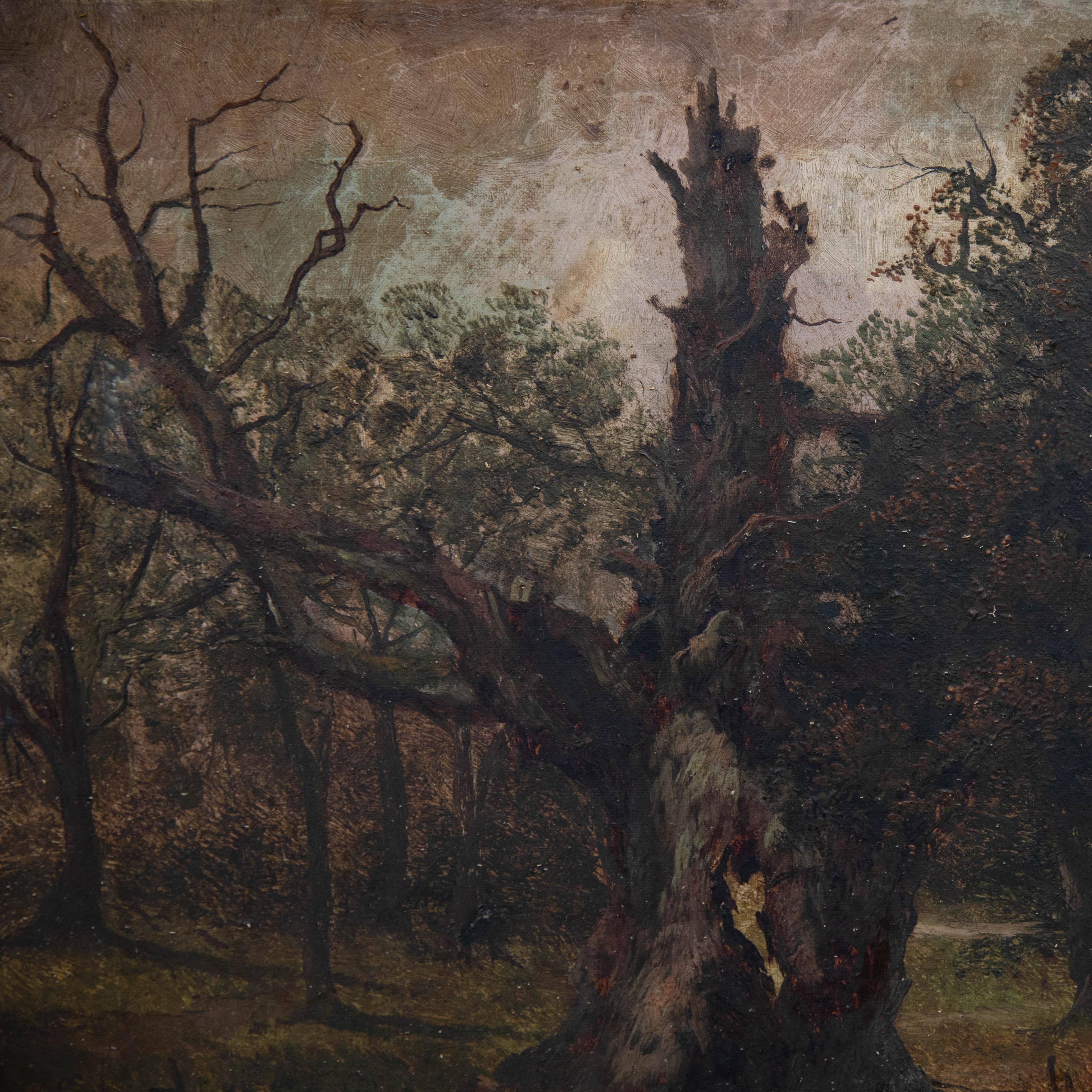 For Restoration 19th Century Oil - The Dead Old Oak 1