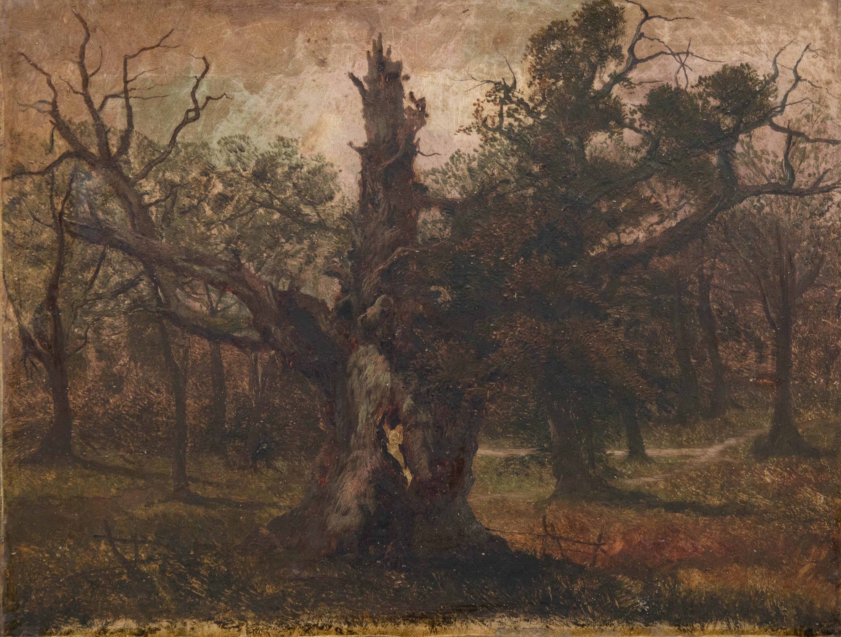 Unknown Landscape Painting - For Restoration 19th Century Oil - The Dead Old Oak