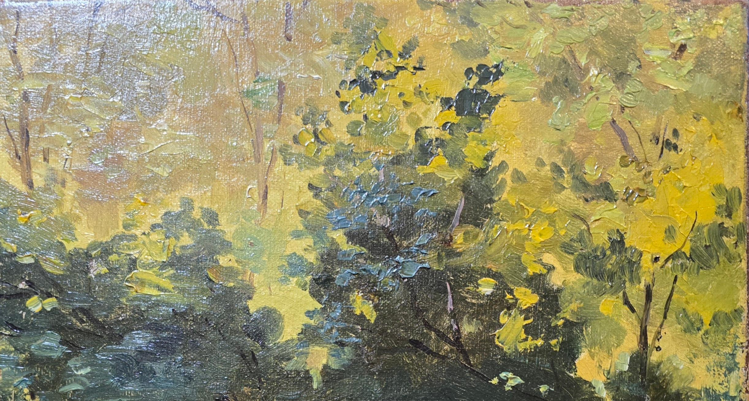 Ruisseau de la forêt, 1893 - Painting de Unknown