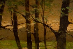 Forest Interior with Sunlit Clearing, Oil on Canvas, 1903