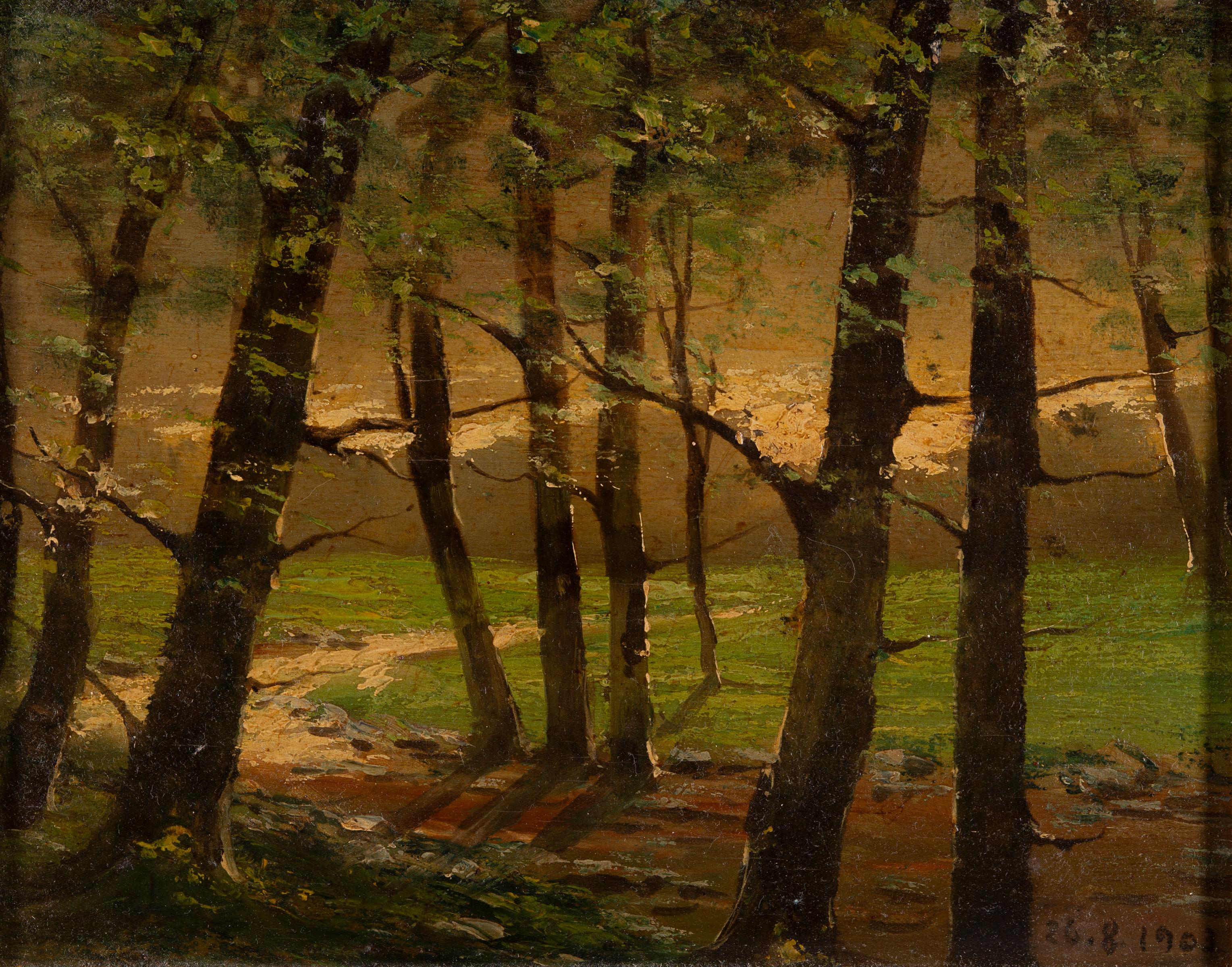 Unknown Landscape Painting - Forest Interior with Sunlit Clearing, Oil on Canvas, 1903