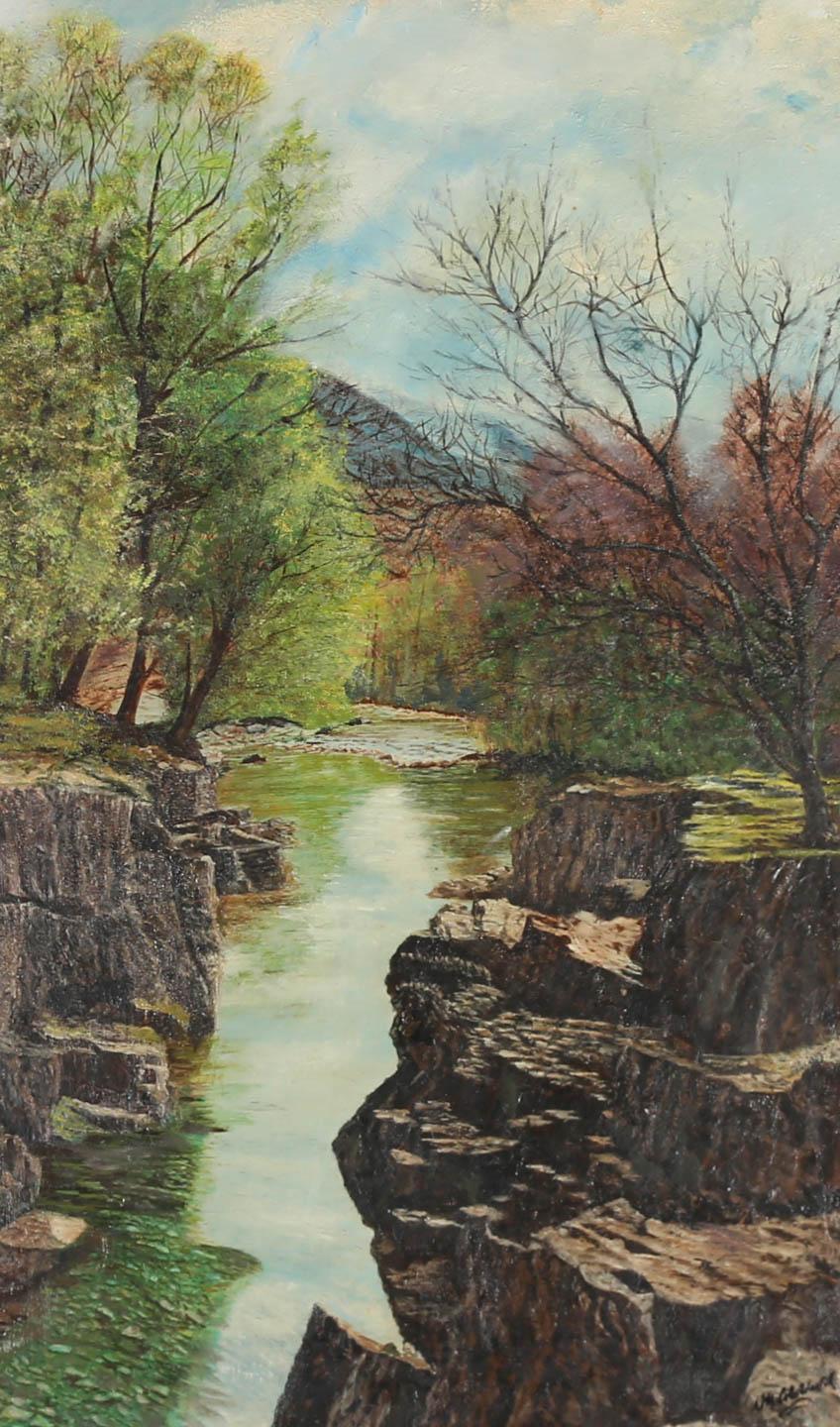 Olio del 1985 incorniciato - Paesaggio fluviale eroso - Painting di Unknown