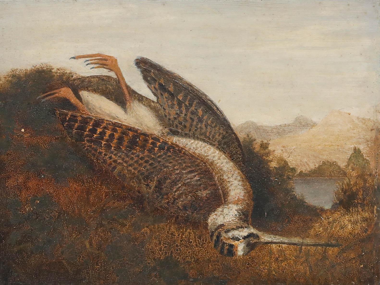 Huile encadrée du 19ème siècle - Bécassine morte - Painting de Unknown