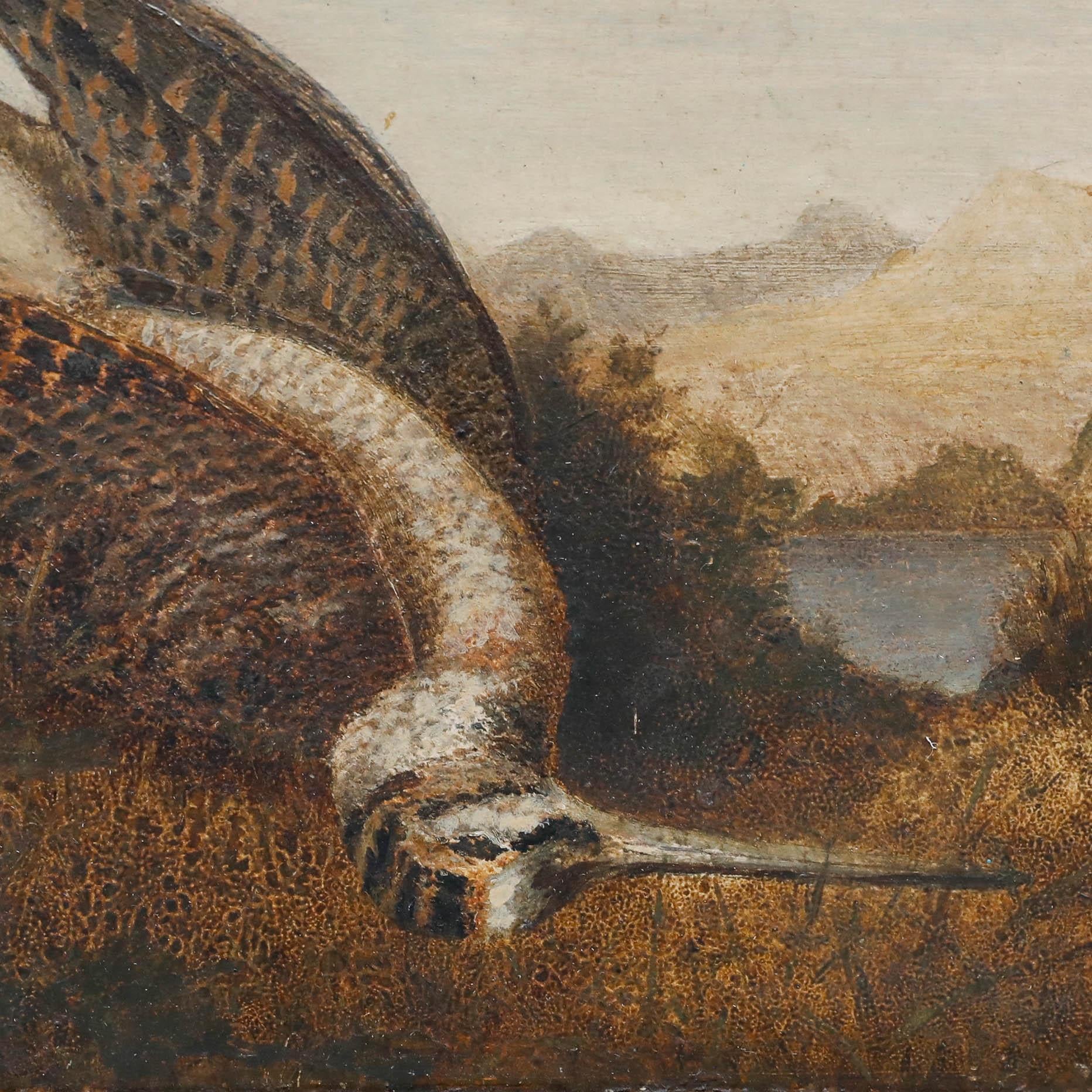 Peinture à l'huile du XIXe siècle représentant une bécassine morte sur fond de paysage montagneux. Bien présenté dans un cadre vintage à effet doré. Non signée. A bord.