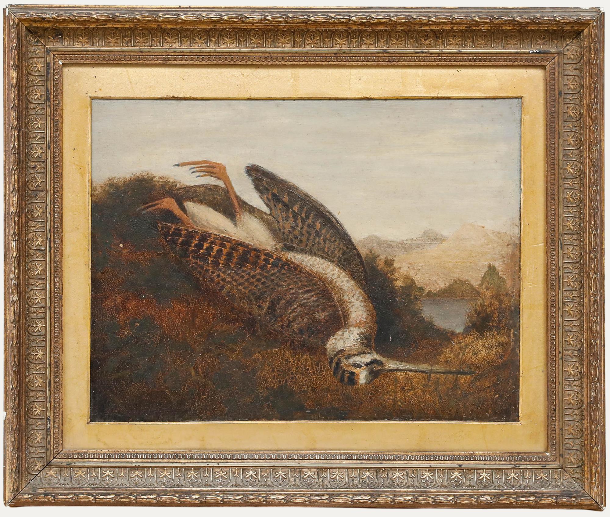 Still-Life Painting Unknown - Huile encadrée du 19ème siècle - Bécassine morte