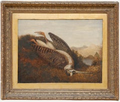 Huile encadrée du 19ème siècle - Bécassine morte