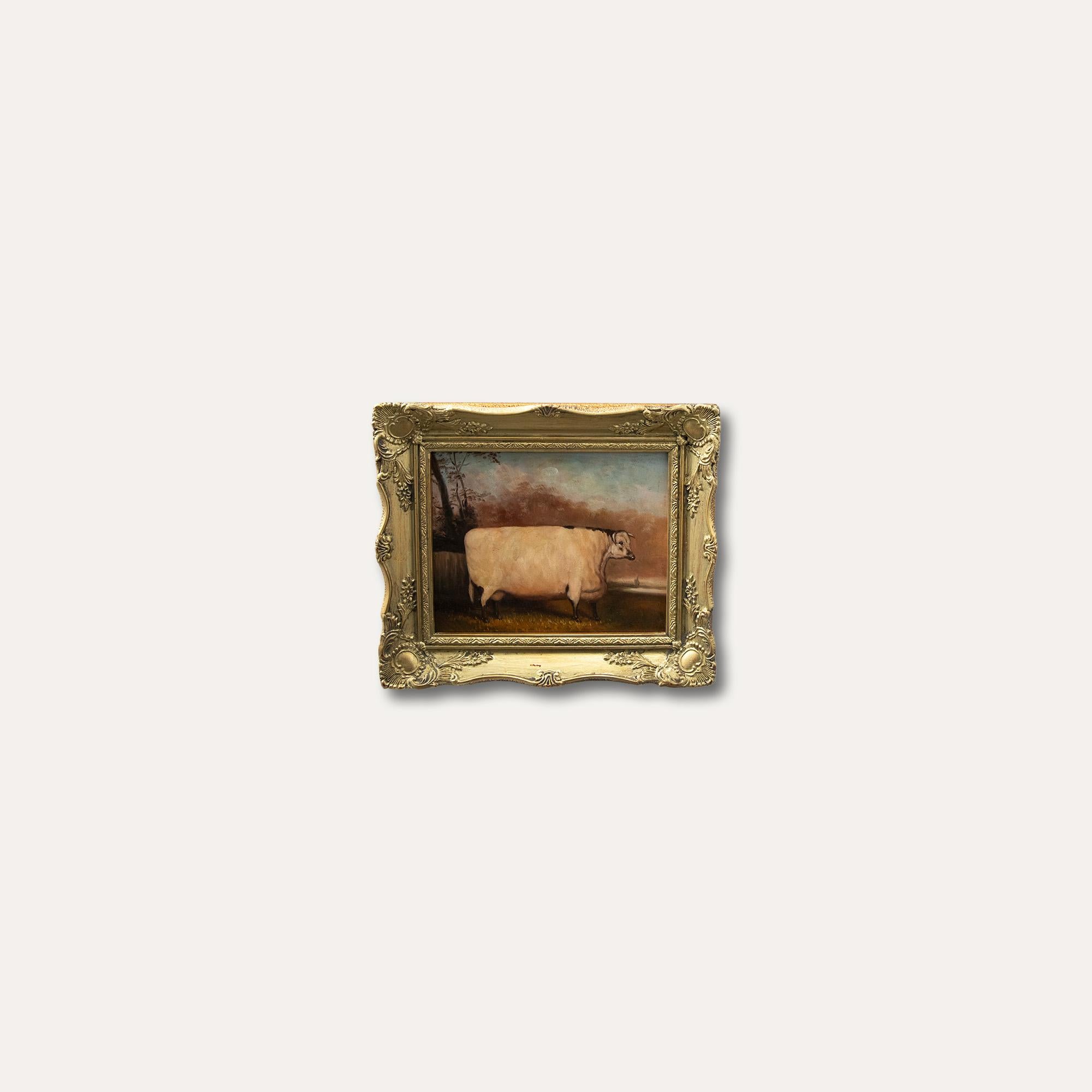 Olio del XX secolo incorniciato - Shorthorn inglese 1