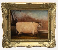 Olio del XX secolo incorniciato - Shorthorn inglese