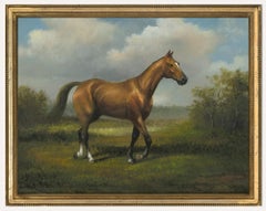 Vintage Framed 20th Century Oil - Portrait of a Bay