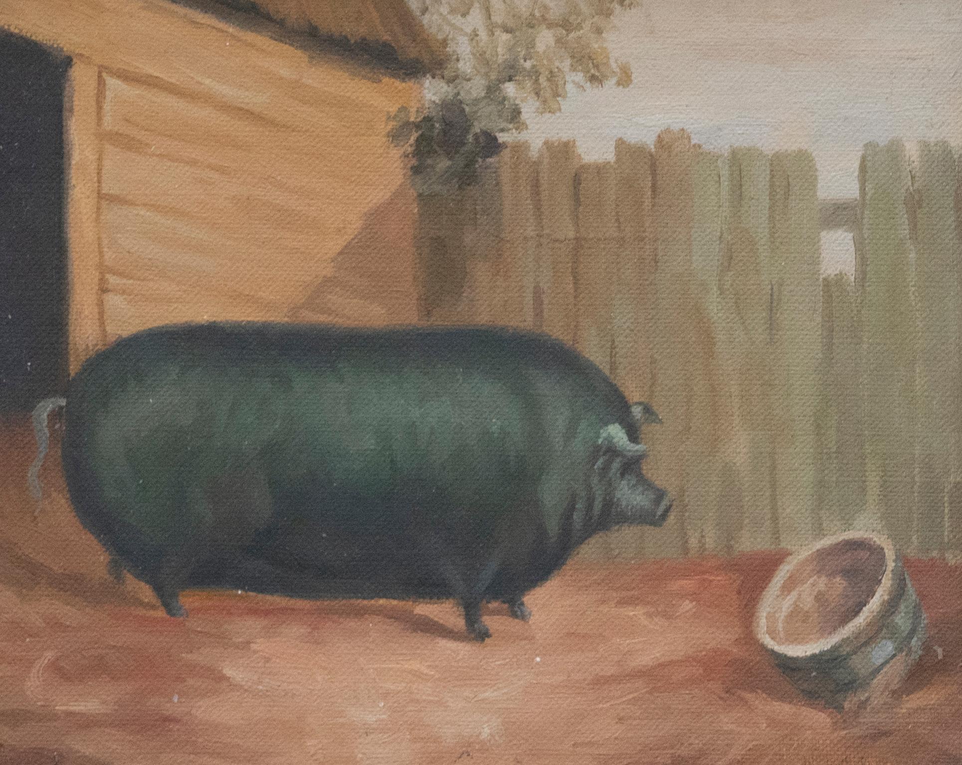 Olio del XX secolo incorniciato - Maiale da premio - Painting di Unknown