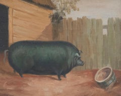 Framed 20th Century Oil - Prize Pig