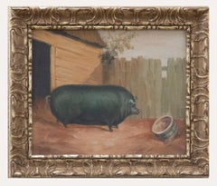 Olio del XX secolo incorniciato - Maiale da premio