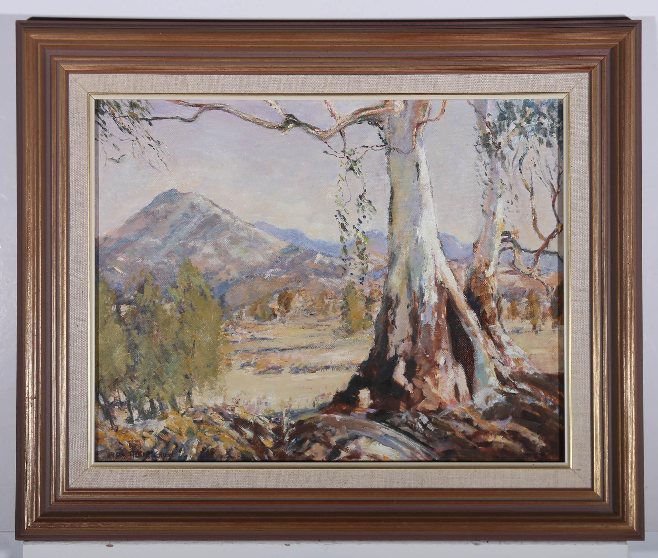 An impressionistic landscape showing two heavy rooted eucalyptus trees framing one of Australia's beautiful Southern mountain ranges. Indistinctly signed to the lower right. Elegantly presented in a complimenting contemporary style frame and soft