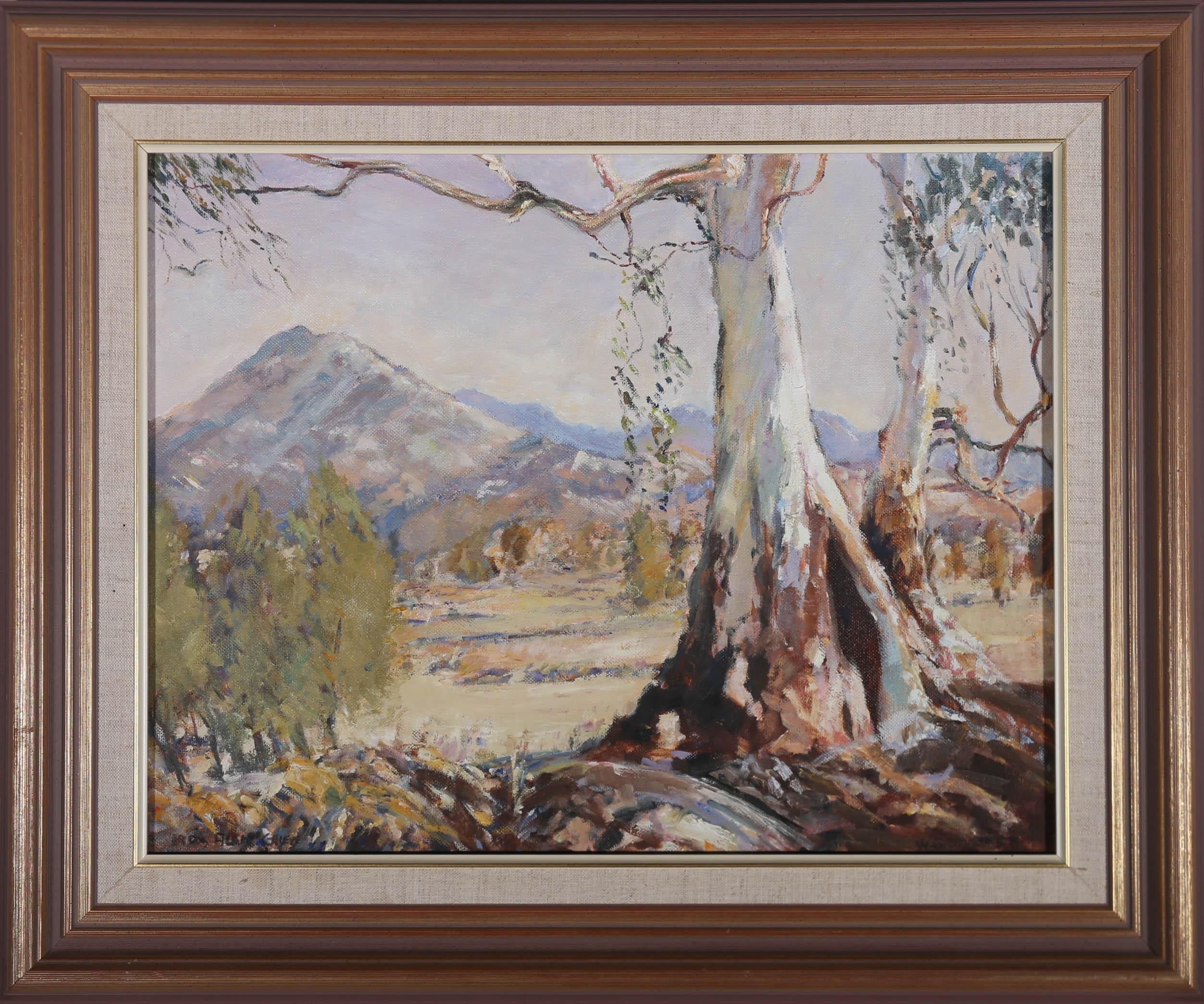 Unknown Landscape Painting - Framed 20th Century Oil - Southern Blue Gum