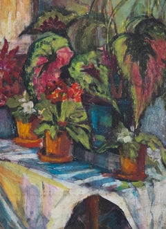 Framed 20th Century Oil - Still Life of Potted Plants