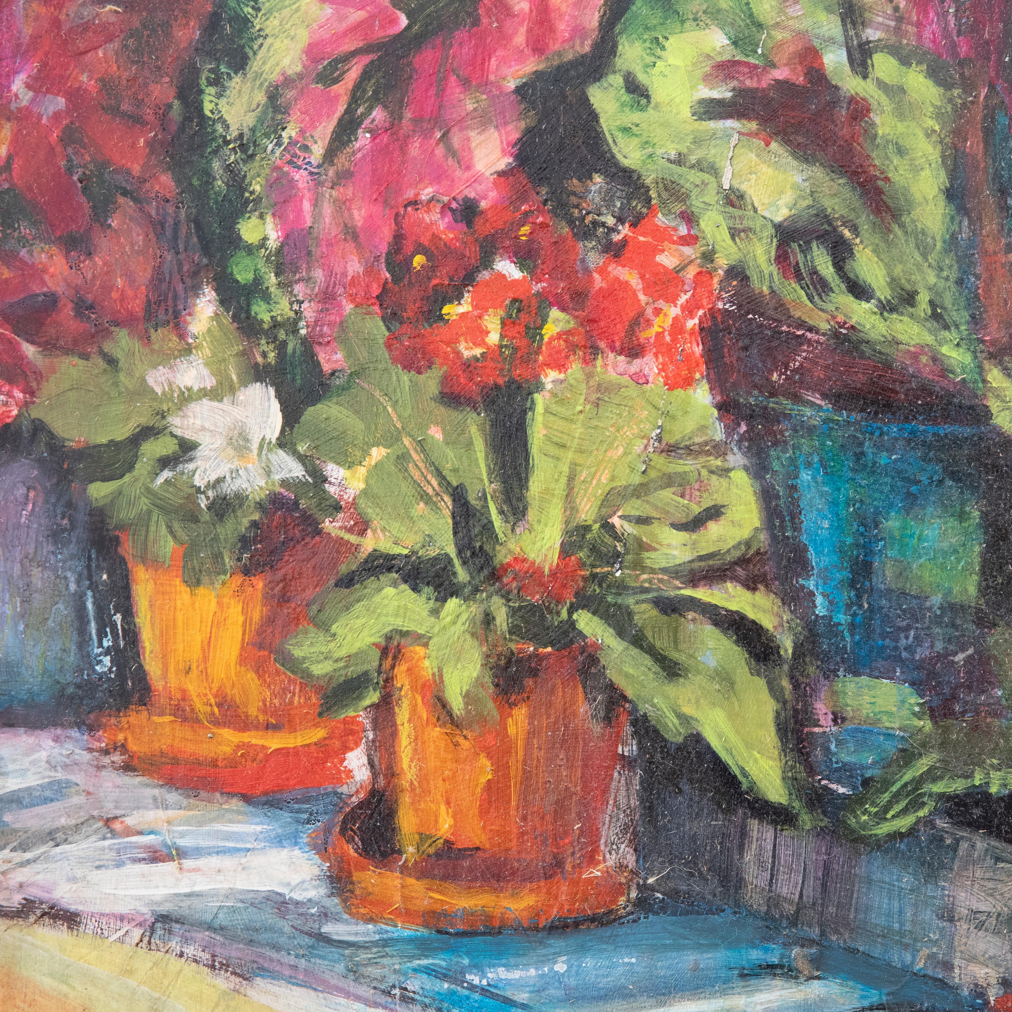 This expressive and colourful still life shows an array of potted house plants position on a sunny table top. A large indoor begonia dominates and droops in the centre of the display, behind several joyful primroses in terracotta pots. The oil has