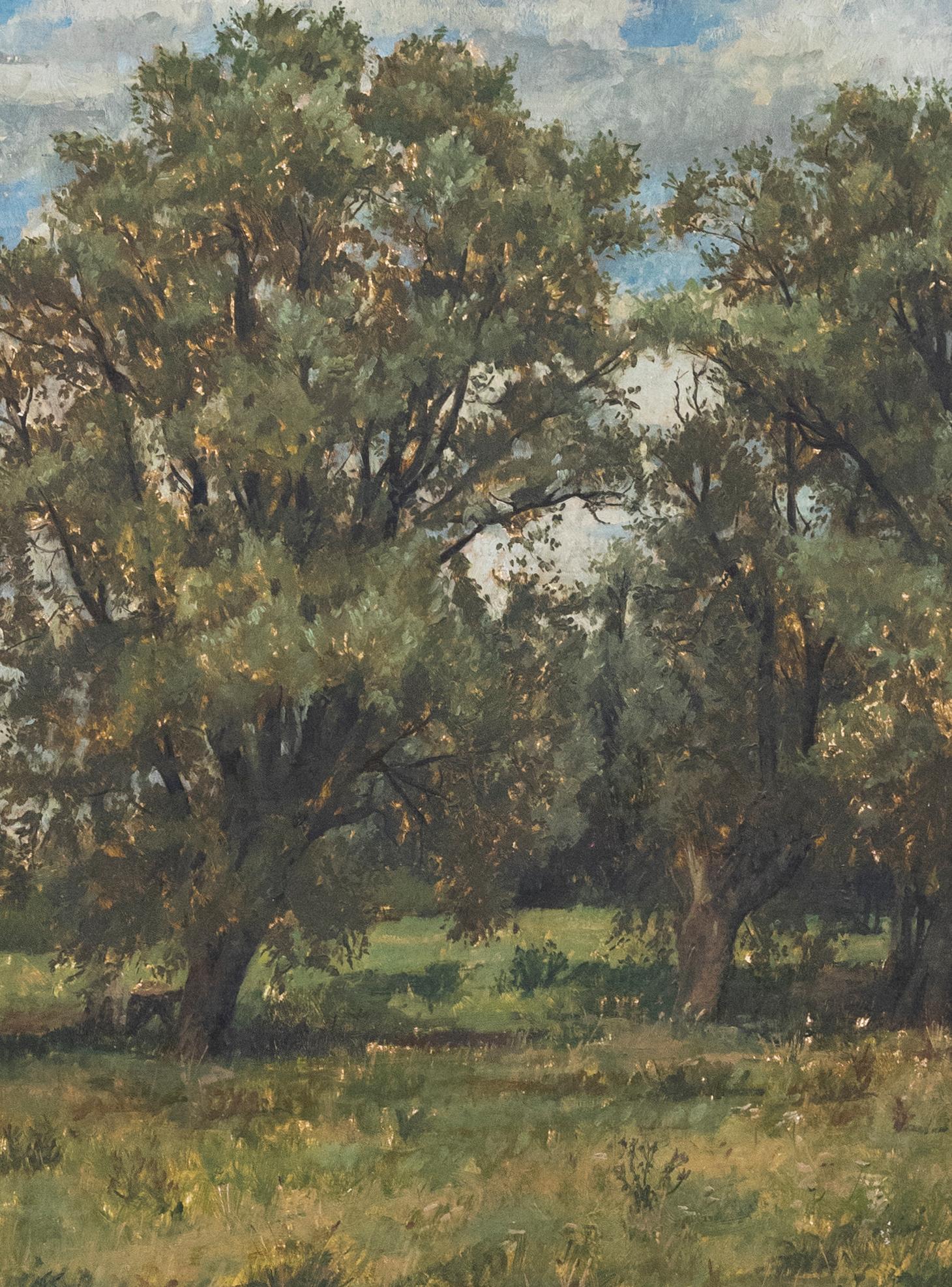 Framed 20th Century Oil - View of Trees - Painting by Unknown