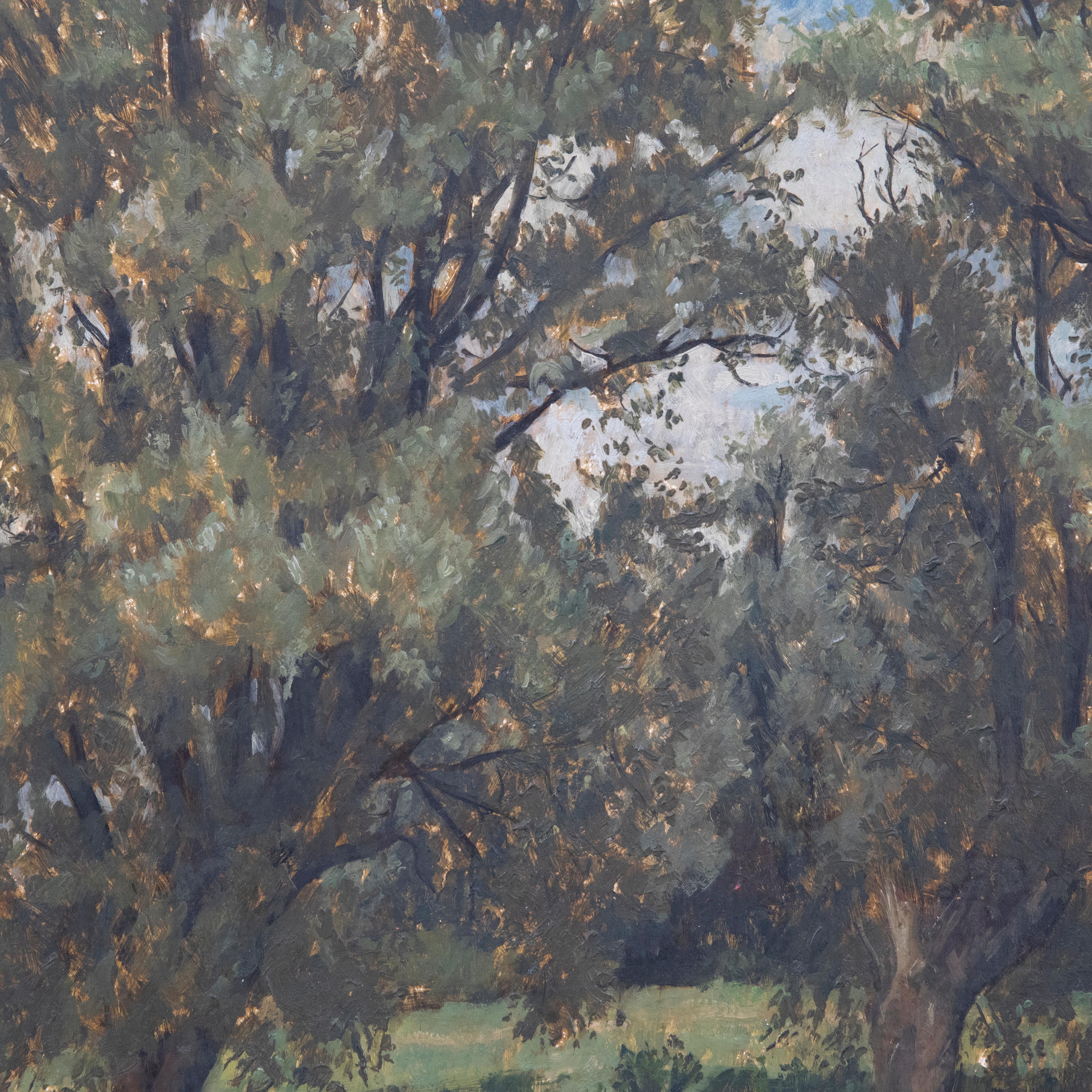 Framed 20th Century Oil - View of Trees For Sale 1
