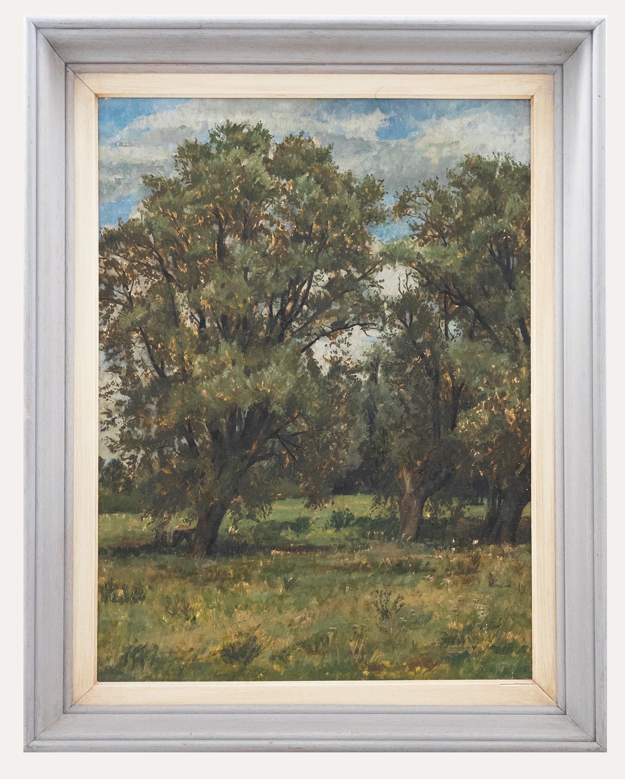 Unknown Landscape Painting - Framed 20th Century Oil - View of Trees