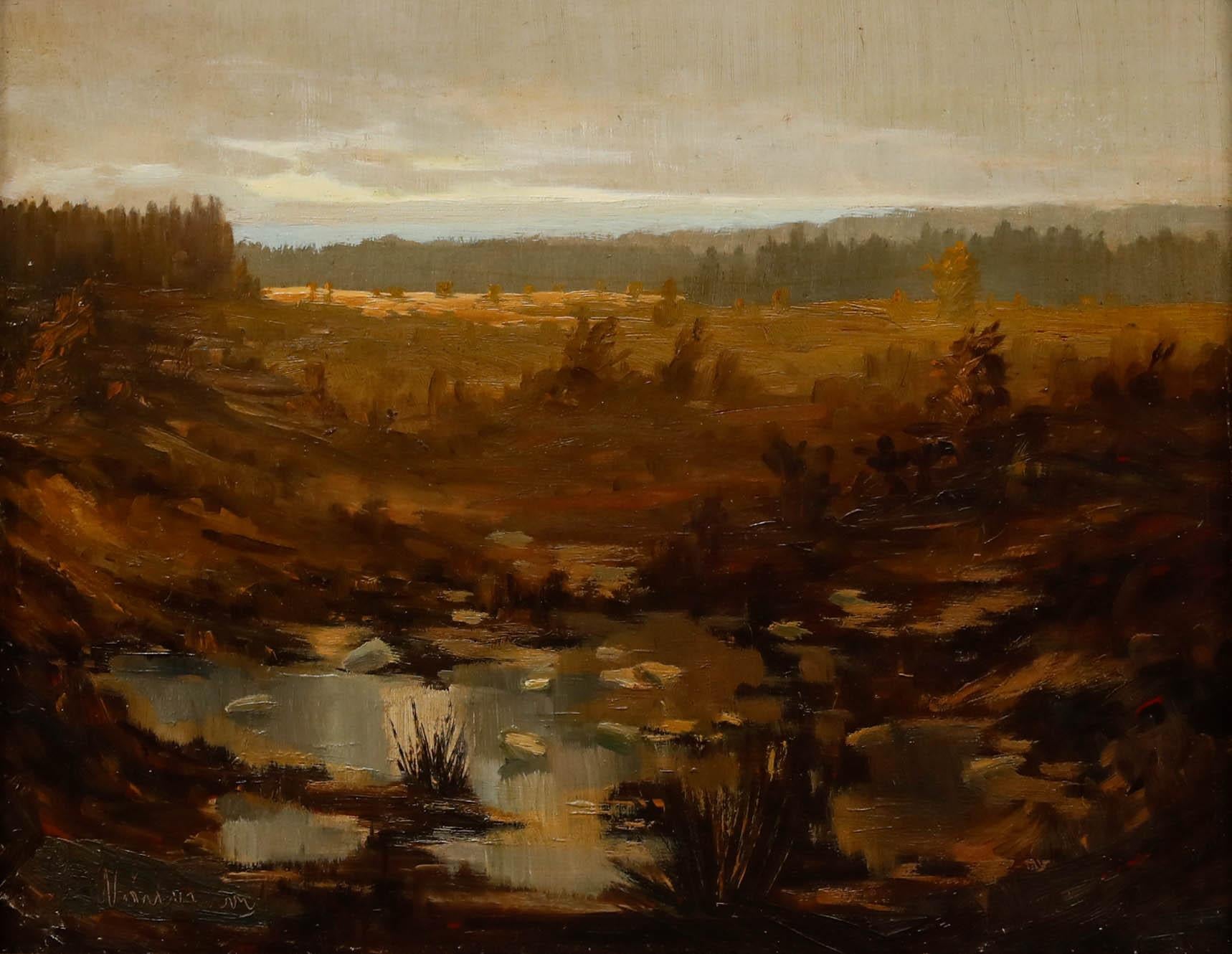 Huile du 20e siècle encadrée - Paysage du Wetland - Painting de Unknown