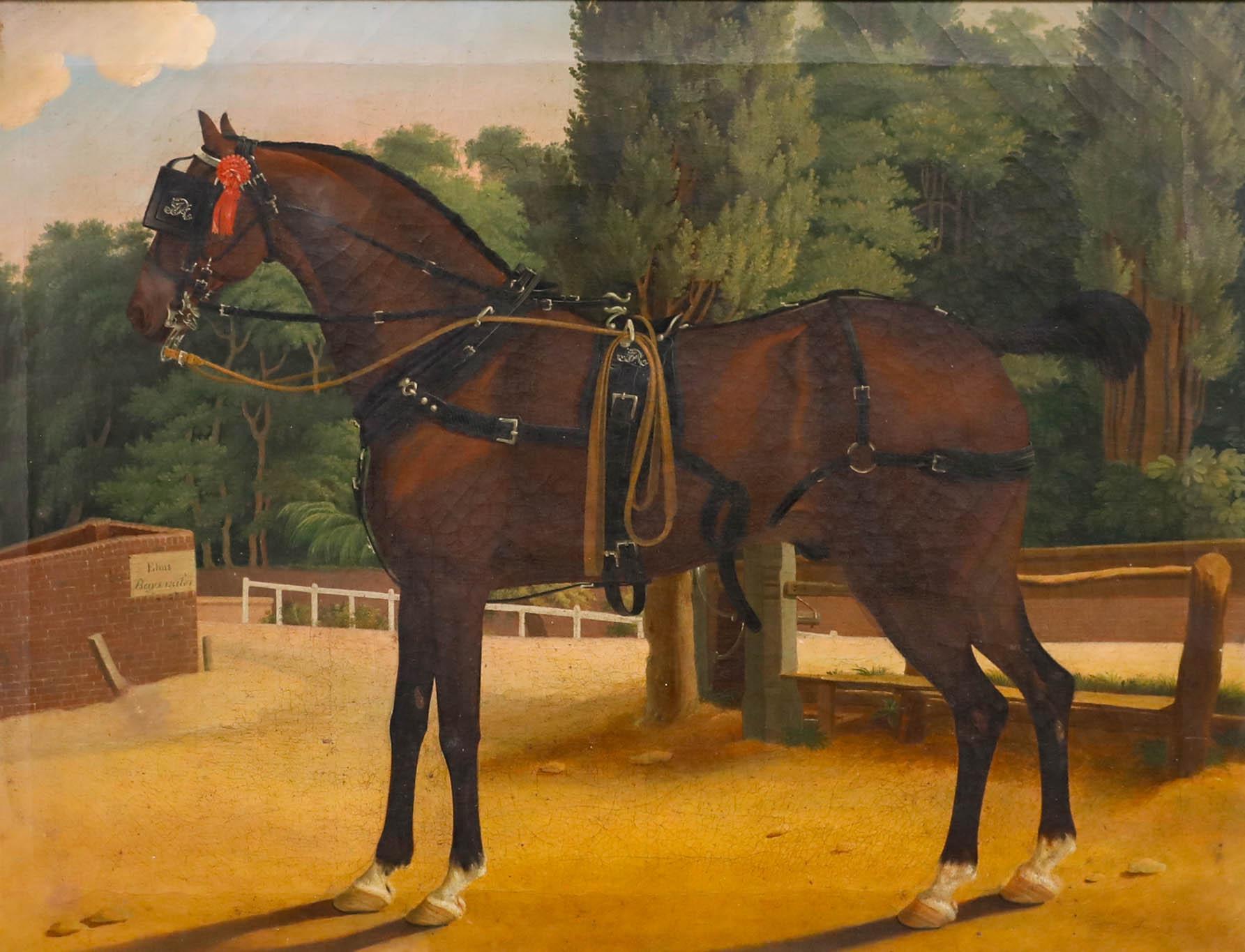 Gerahmte English School Öl aus dem 19. Jahrhundert - A Favourite Bay Hunter – Painting von Unknown