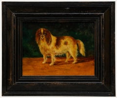 Framed Mid 20th Century Oil - King Charles Spaniel