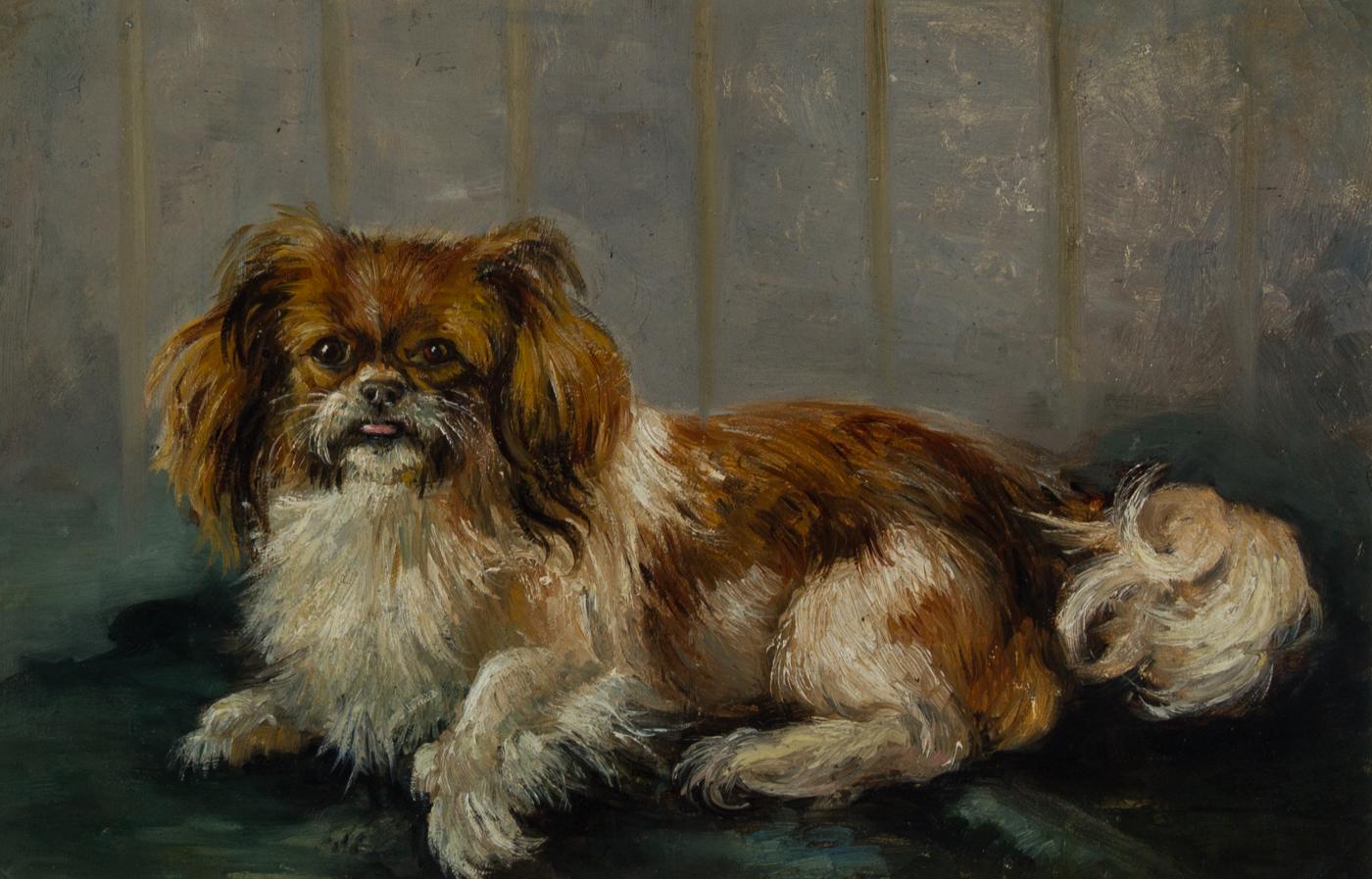 Framed Mid 20th Century Oil - Pekingese Dog - Painting by Unknown