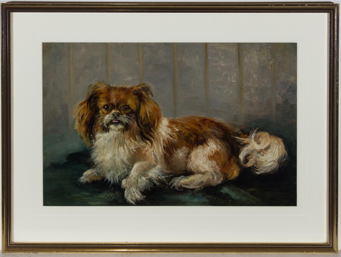 Unknown Animal Painting - Framed Mid 20th Century Oil - Pekingese Dog