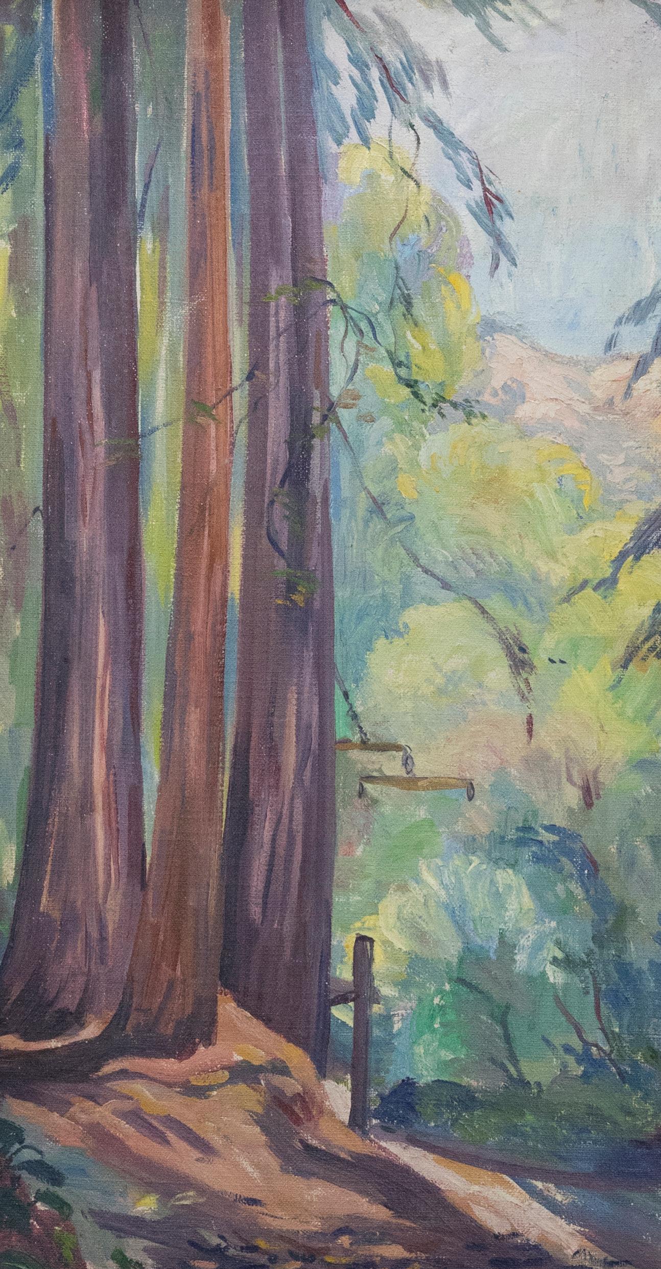 Framed Mid 20th Century Oil - Redwood Trees - Painting by Unknown