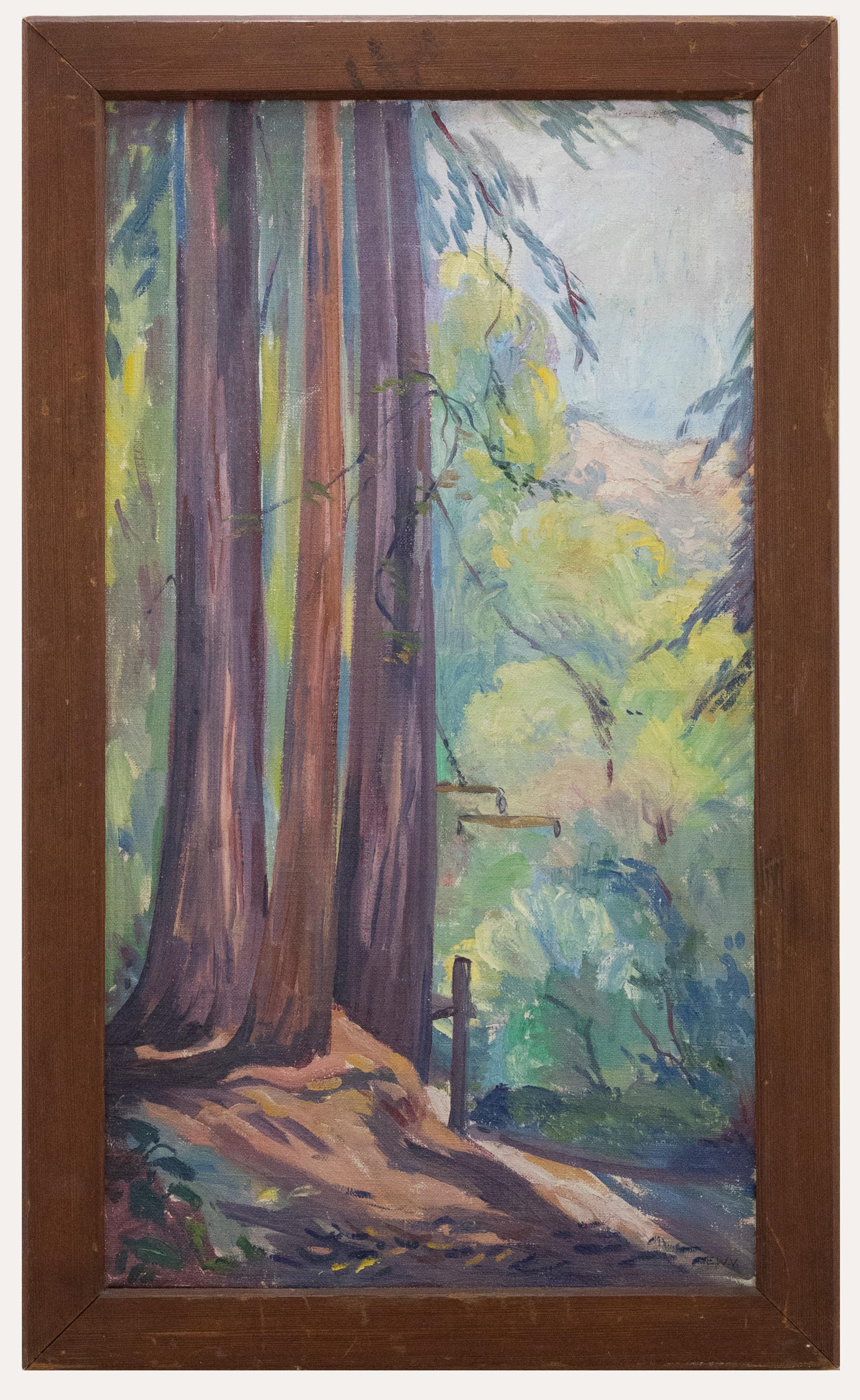 Unknown Landscape Painting - Framed Mid 20th Century Oil - Redwood Trees