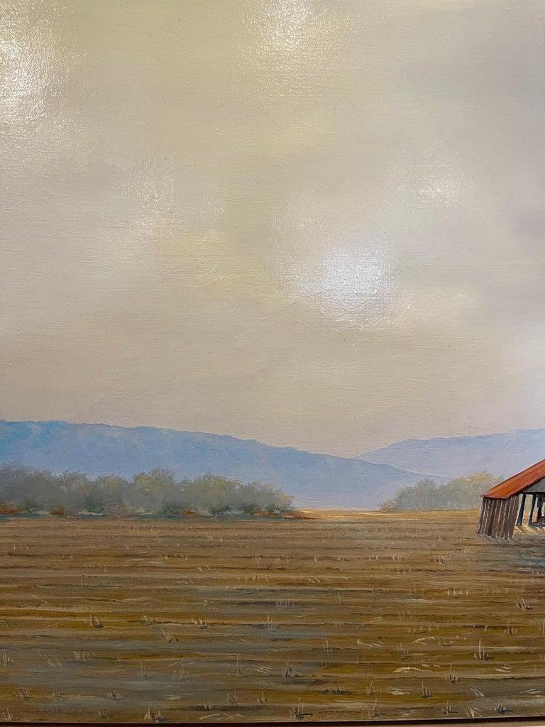 Framed Oil on Canvas 