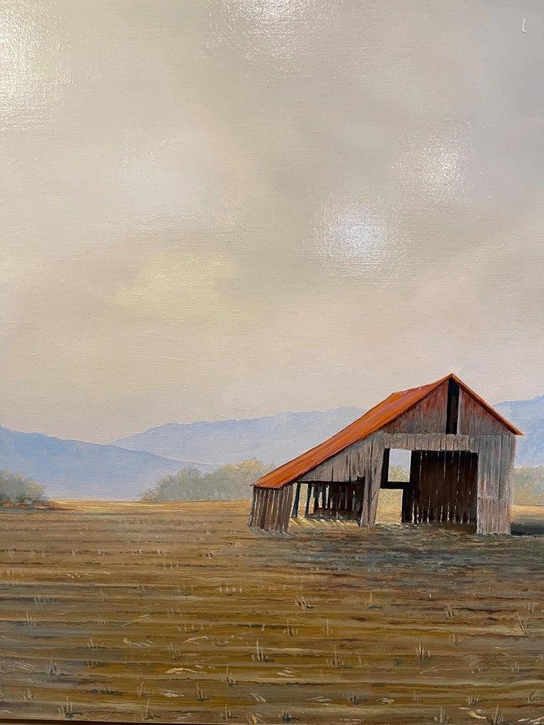 Framed Oil on Canvas 
