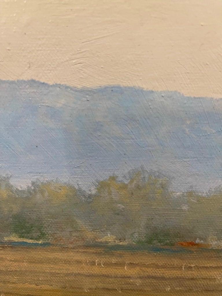 Framed Oil on Canvas 