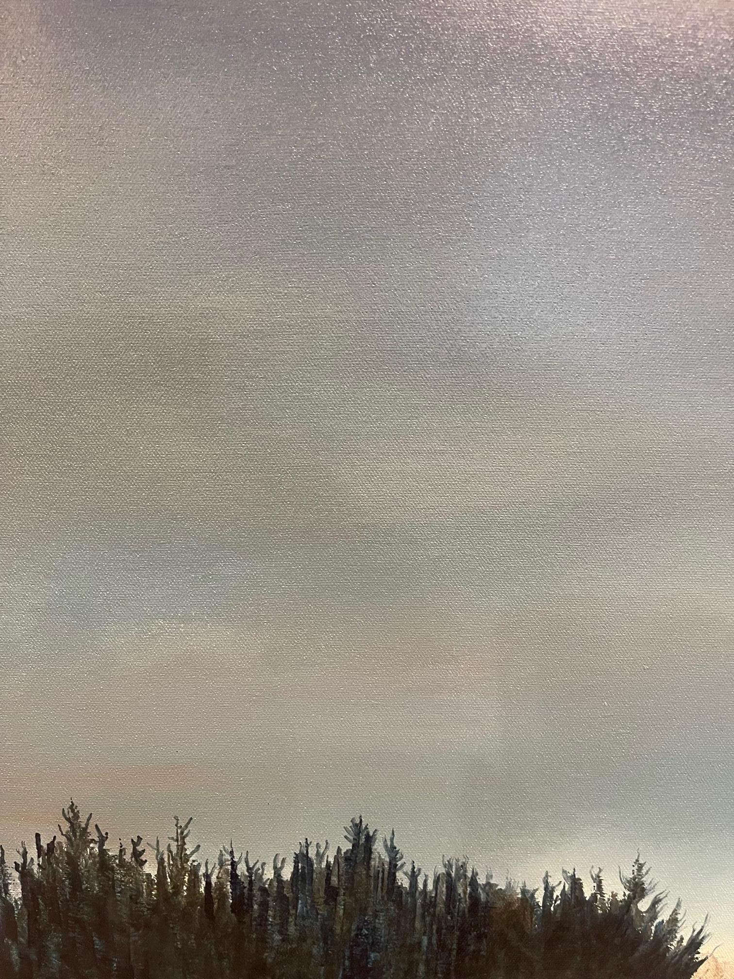 Framed Oil on Canvas 