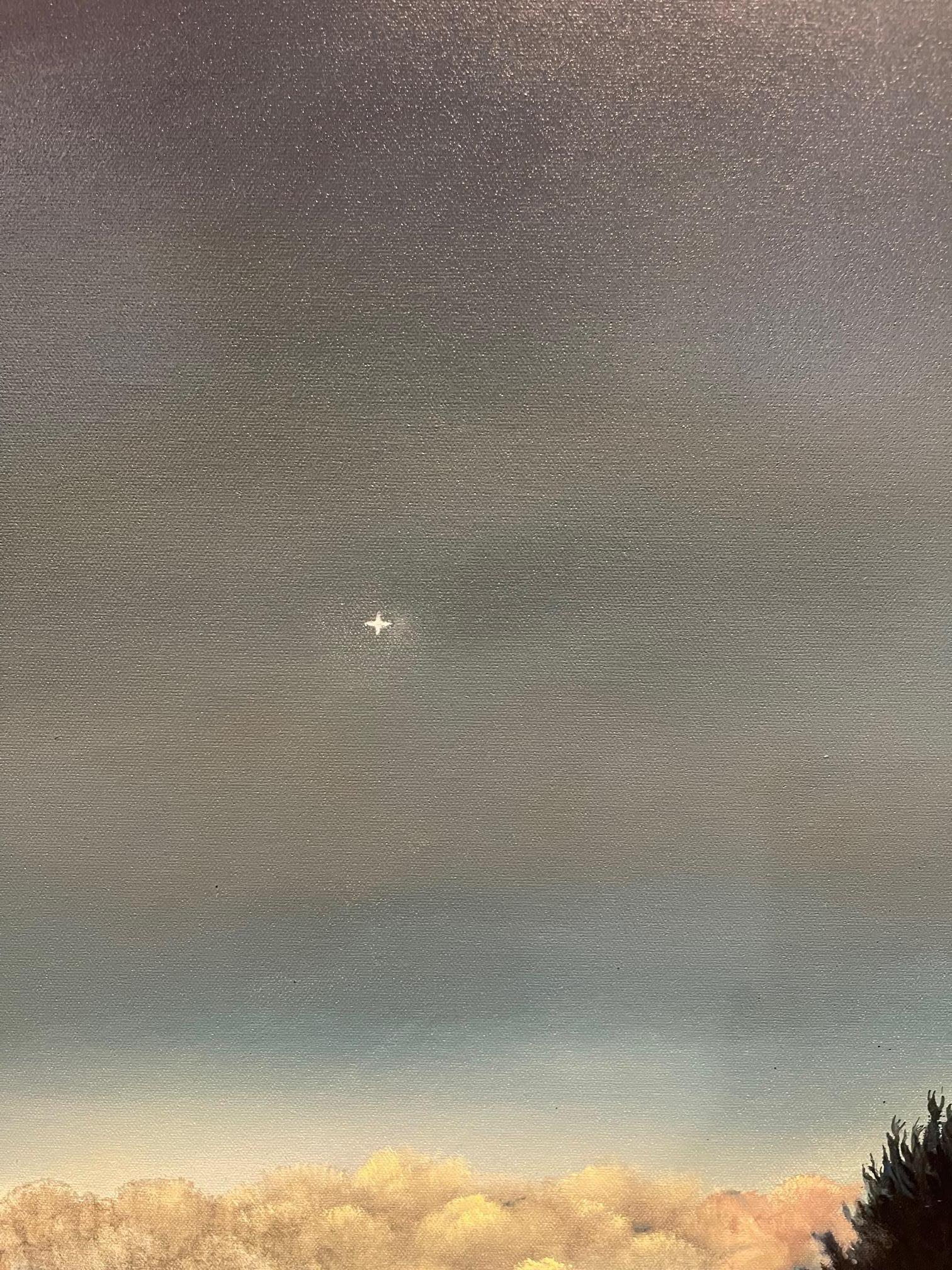 Framed Oil on Canvas 