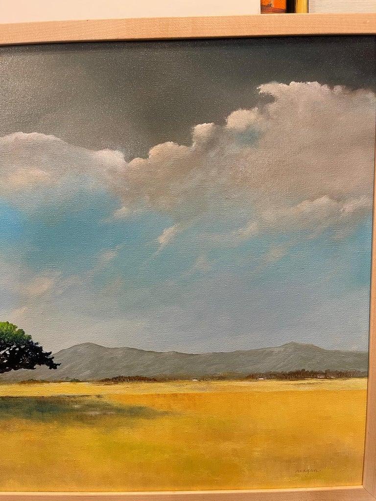 Framed Oil on Canvas 