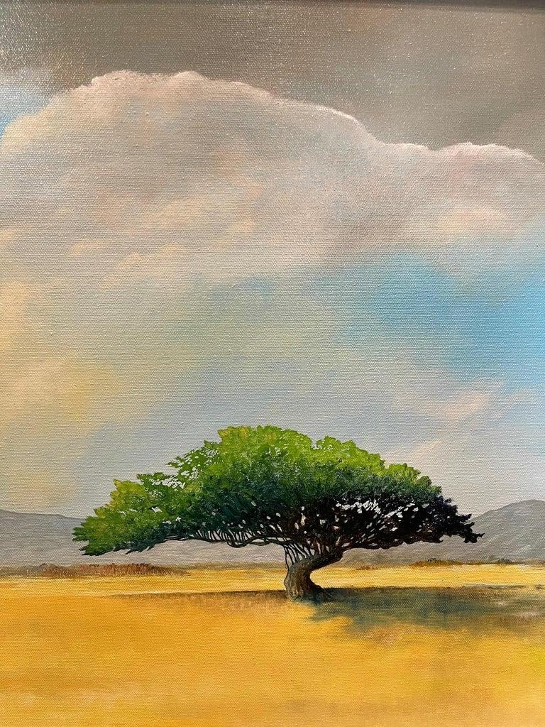 Framed Oil on Canvas 
