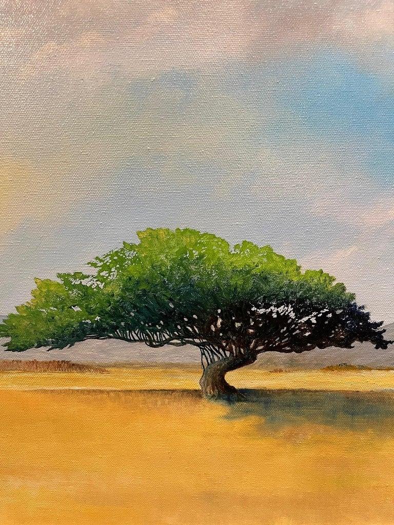 Framed Oil on Canvas 