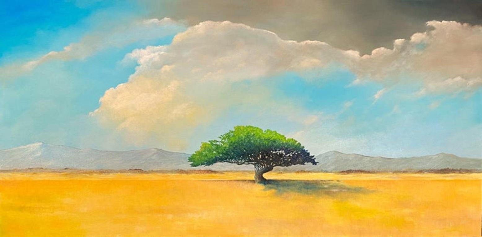 Framed Oil on Canvas 